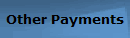Other Payments