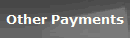 Other Payments